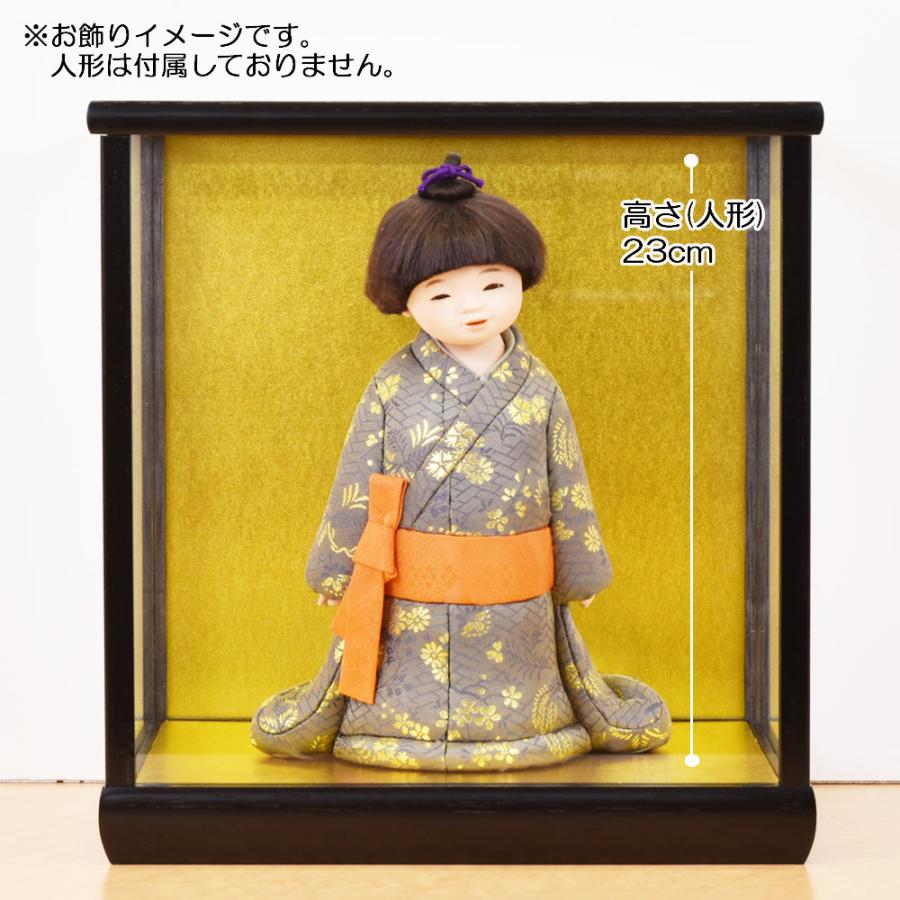 人形ケース ガラス人形ケース 幅 間口24奥行20高24cm(ガラス寸法）内