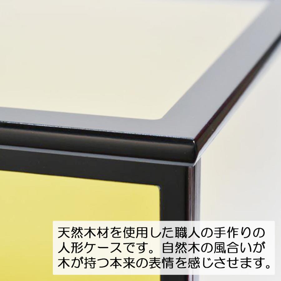 人形ケース ガラス人形ケース 幅 間口55奥行30高35cm(ガラス寸法）内