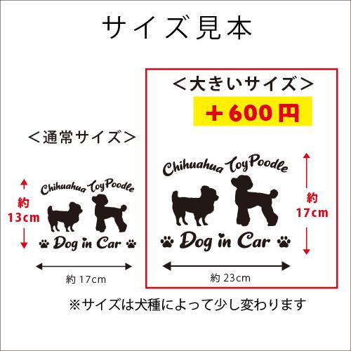トイプードル おパンツカット バルーンカット 2頭飼 多頭飼