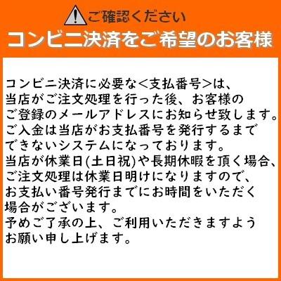 プラスチックカード 厚さ0.38mm ISO規格サイズ 86x54mm クレジット