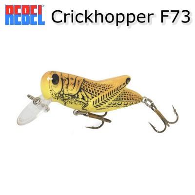 REBEL レーベル Crickhopper クリックホッパー F73 メール便発送 REBEL レーベル Crickhopper クリックホッパー F73 メール便発送