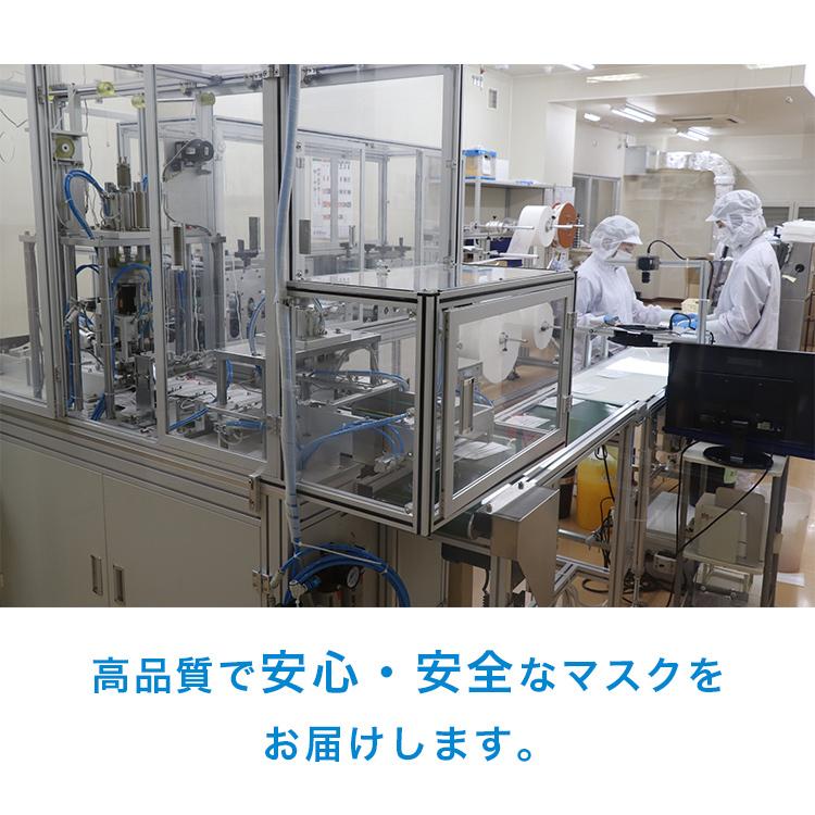 医療用高性能マスク 50枚入 個包装 Lサイズ 日本製 バリアレベル2 |  | 13