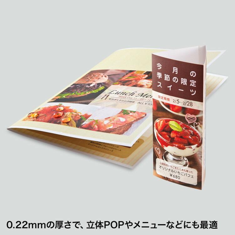 カラーレーザー用　耐水紙・特厚サンワサプライ[SAN] 【LBP-WPF22MDPN】 爆買 | SANWA SUPPLY | 01