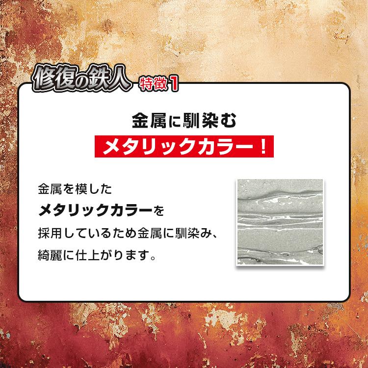 修復の鉄人 強硬化エポキシ系接着剤 2液混合タイプ [RUP] 爆買