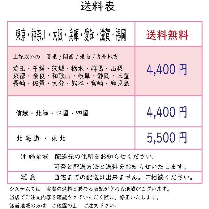 ビビL 押し歩き BE-FLW031 電動アシスト自転車 20インチ 内装3段変速 PANASONIC パナソニック｜jitensha-box｜02