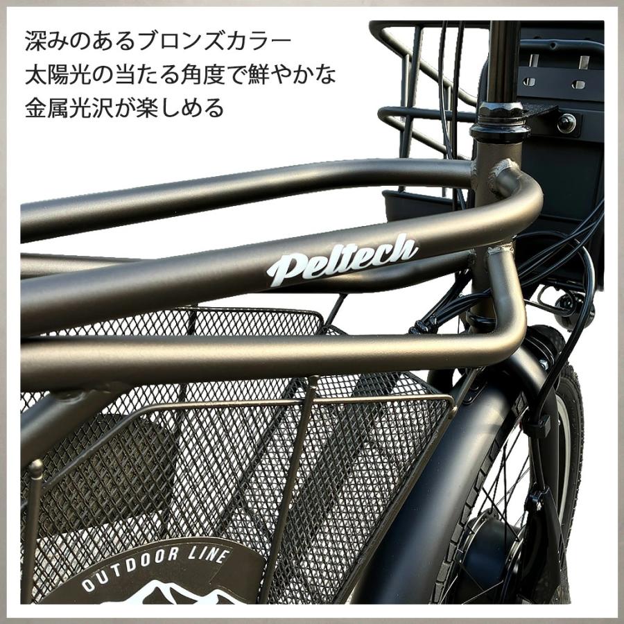 PELTECH（ペルテック） 当店限定カラー 全3色 PELTECH×EBISU 別注