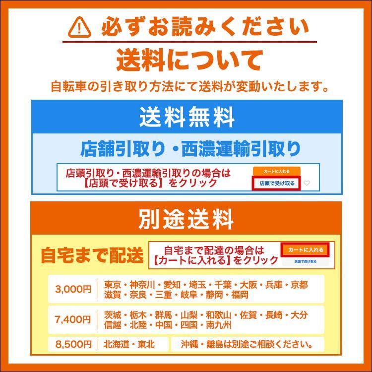 BRIDGESTONE ブリヂストン 電動自転車 2025年モデル ステップクルーズe