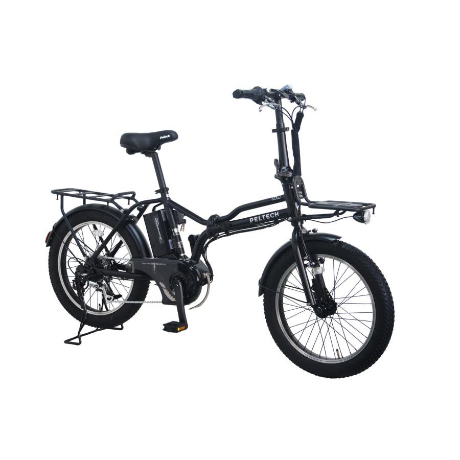 PELTECH（ペルテック） X-Adventure ハイパワーモデル TDN-246L 電動