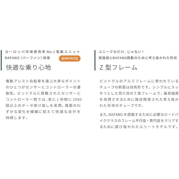 TAKEDA PIT-CLE 20インチ電動アシスト自転車 6段変速 d4008 完全組立】TAKEDA（武田産業） PITCLE（ピットクル）｜2023年度