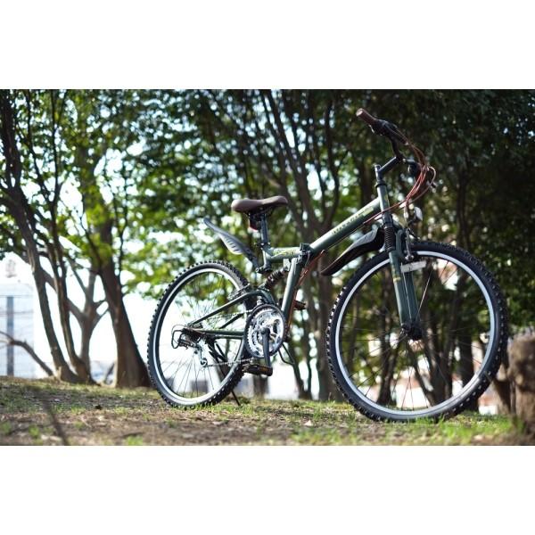 Raychell（レイチェル） R-314N｜26インチ18段変速折りたたみ