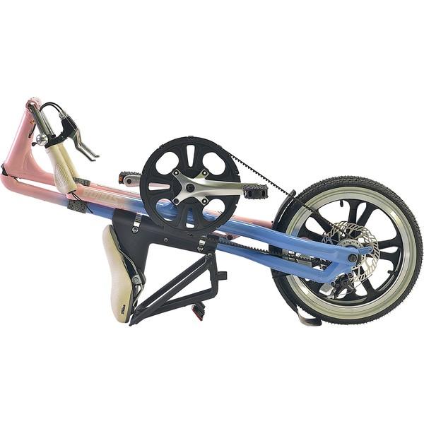購入特典】STRIDA(ストライダ) LT|2019年度モデル|16インチ 購入特典】STRIDA(ストライダ) LT|2019年度モデル|16インチ