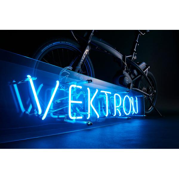 完全組立】Tern（ターン） Vektron S10（ヴェクトロンS10）｜2021年度