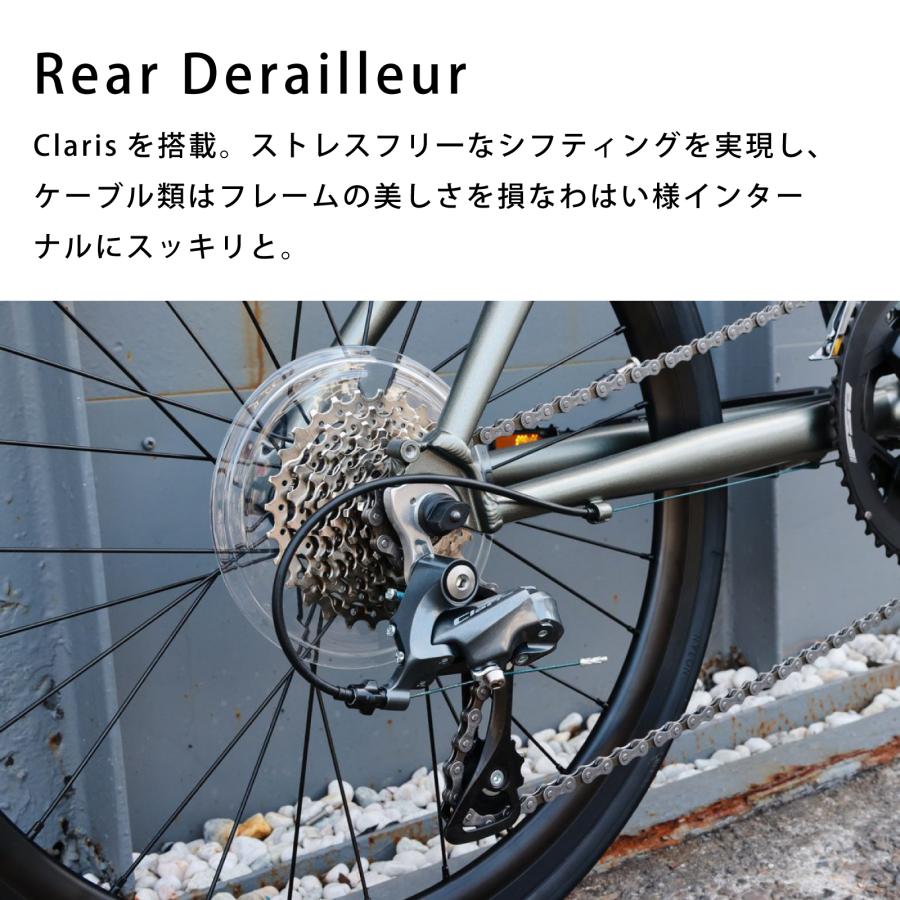 DAHON（ダホン） 【ポイント10倍】自転車 ミニベロ tern ターン Surge