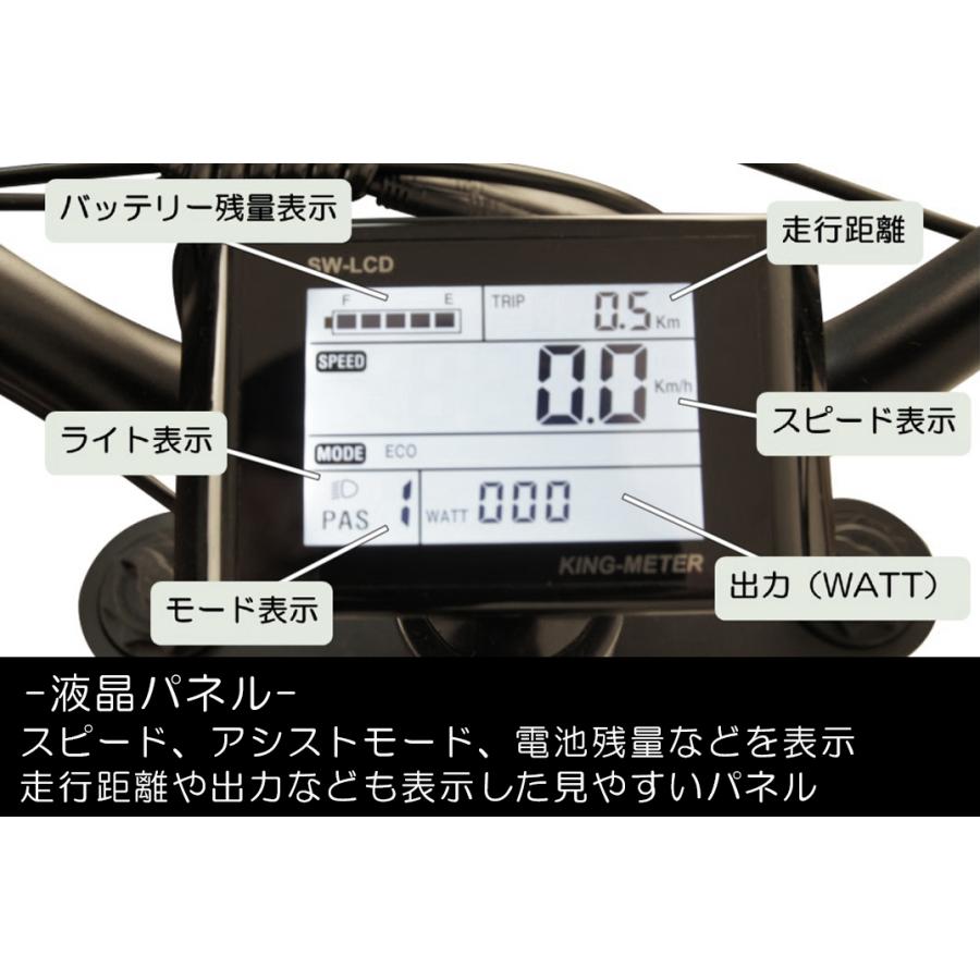 電動アシスト自転車 電動自転車 CYCOO サイクー 2025年 GHOST