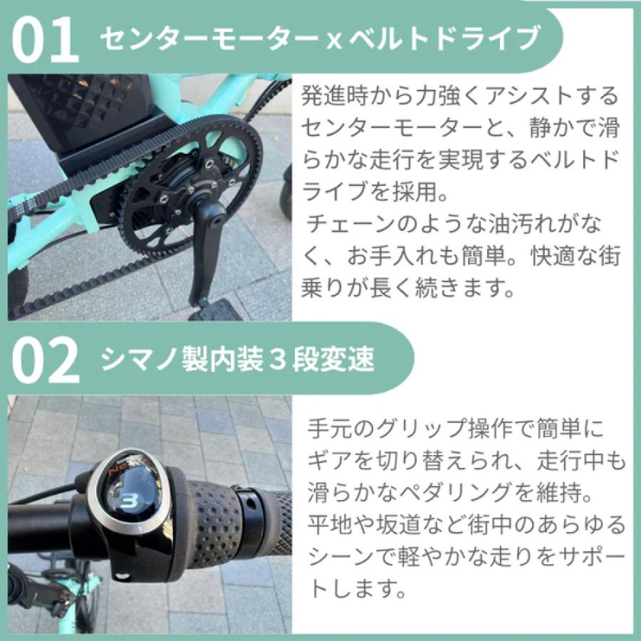 PELTECH（ペルテック） 電動アシスト自転車 折り畳み自転車 PELTECH X