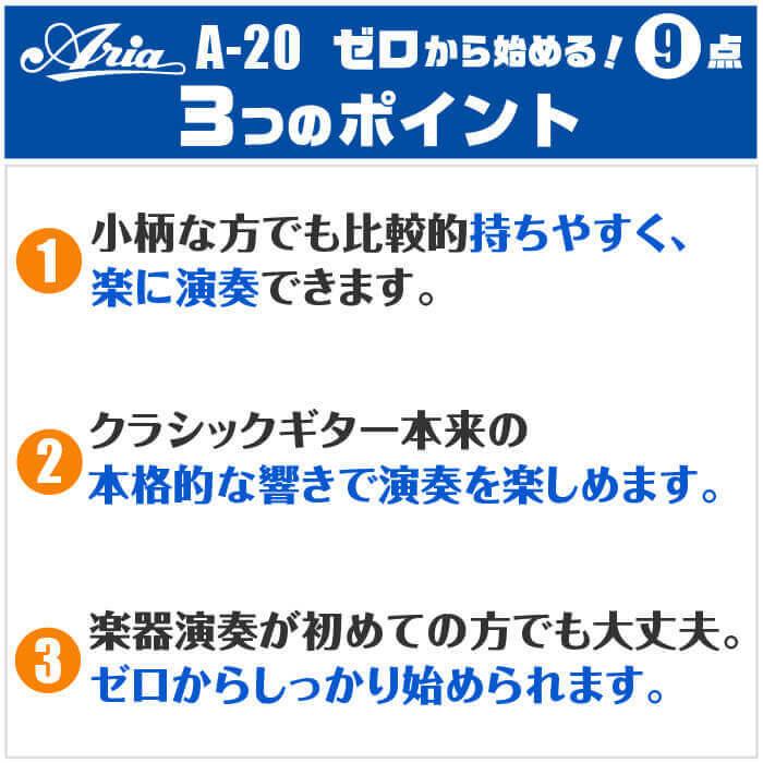 驚きの価格 11点 A-20 アリア 初心者セット クラシックギター ハード 