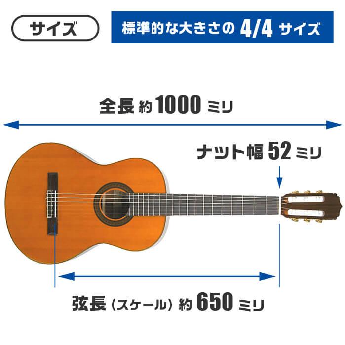 クラシックギター 初心者セット 入門 (充実 12点) ARIA A-20 (アリア シダー材 単板)｜jivemusic｜12