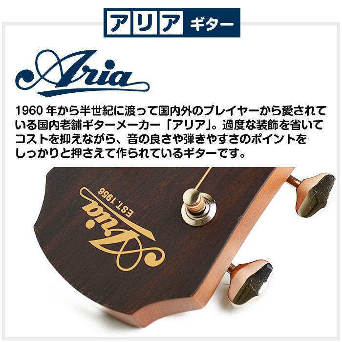 アコースティックギター 初心者セット アコギ 6点 アリア Aria-101