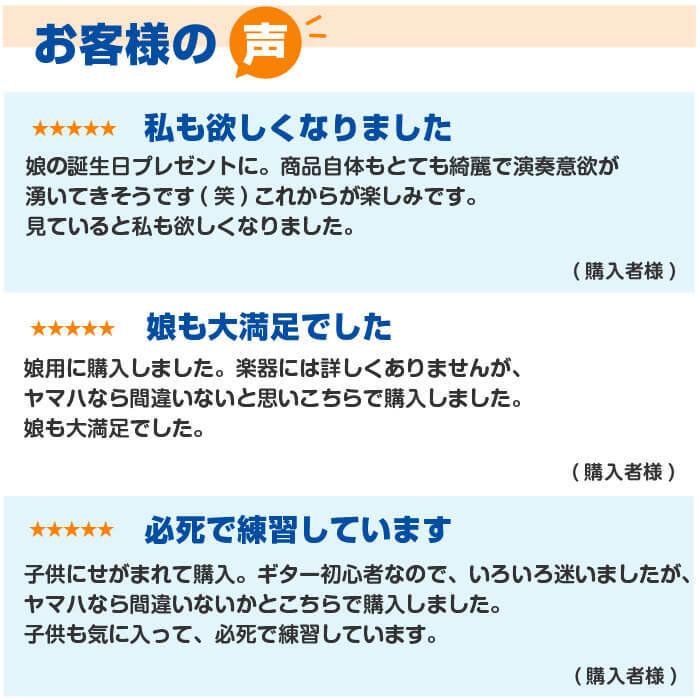 アコースティックギター 初心者セット ヤマハ F6 15点 Yamaha アコギ ギター 入門セット Ag F6dw 14 ジャイブミュージック 通販 Yahoo ショッピング