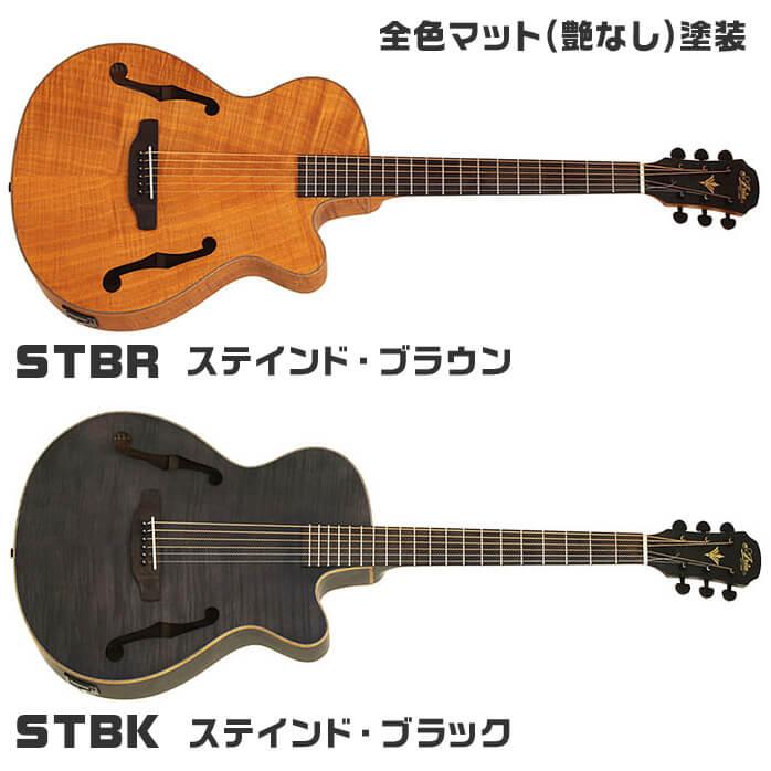 アコースティックギター 初心者セット エレアコ Aria FET-F2 入門 