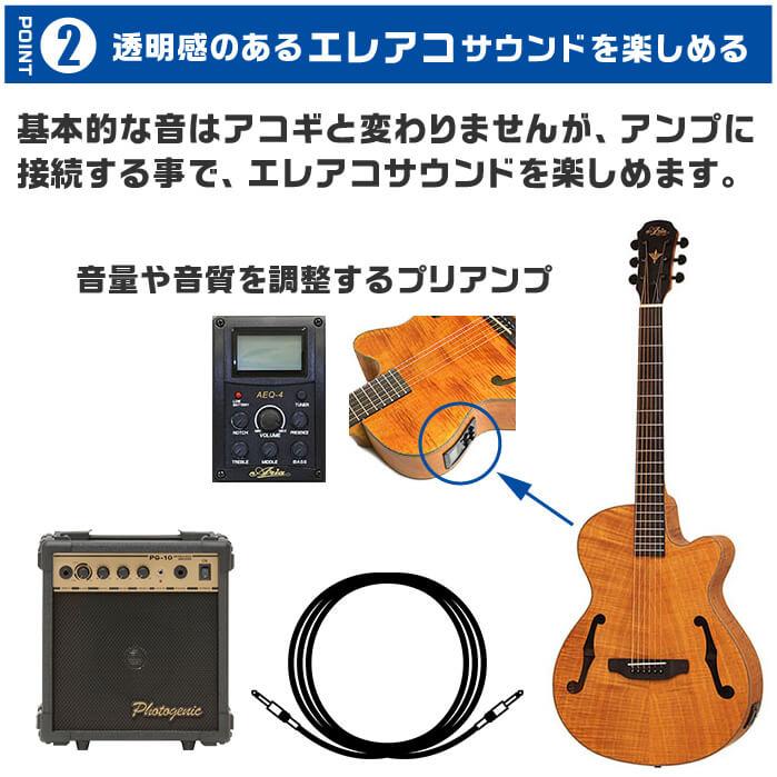 アコースティックギター エレアコ Aria FET-F2 (アリア ギター アコースティックギター エレアコ Aria FET-F2 (アリア ギター