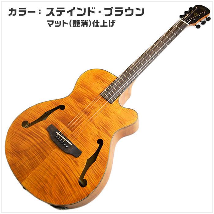 アコースティックギター エレアコ Aria FET-F2 (アリア ギター アコースティックギター エレアコ Aria FET-F2 (アリア ギター