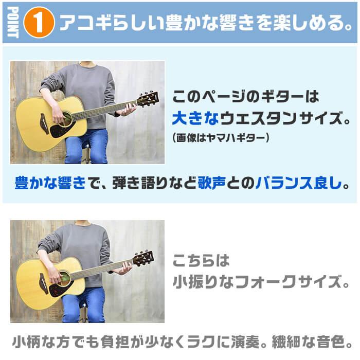 YAMAHA（ヤマハ） アコースティックギター 初心者セット (5点) YAMAHA