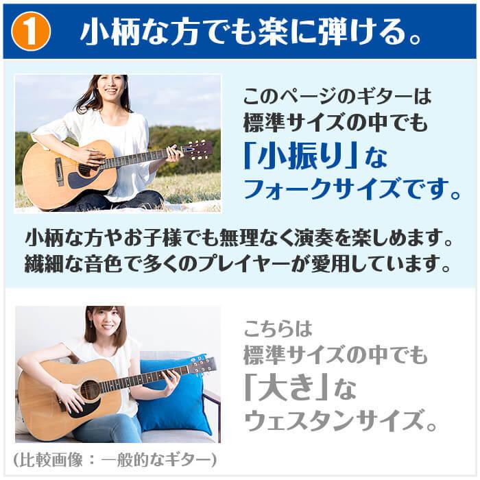 YAMAHA（ヤマハ） アコースティックギター 初心者セット YAMAHA FS800