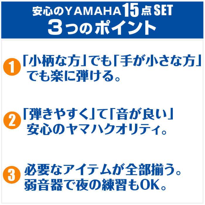 アコースティックギター 初心者セット YAMAHA FS850 15点 ヤマハ アコギ ギター 入門セット_5