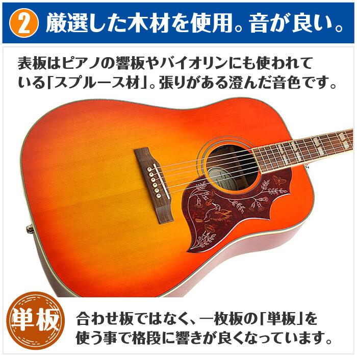 アコースティックギター 初心者セット (15点 ハードケース付) Epiphone