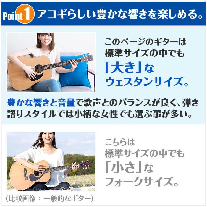 アコースティックギター 初心者セット S.ヤイリ YD-04 6点 S.Yairi