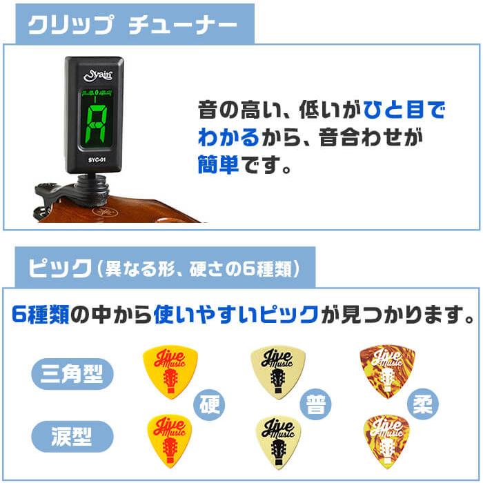 アコースティックギター 初心者セット 11点 S.ヤイリ YF-04 S.Yairi
