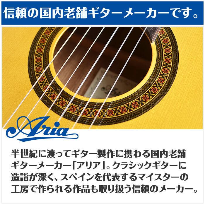クラシックギター 初心者セット アリア A-20 分数サイズ 9点 (ARIA 