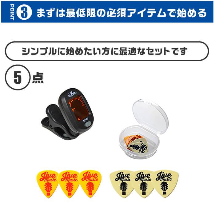 クラシックギター 初心者セット 入門 (必須 5点) バレンシア VC204 