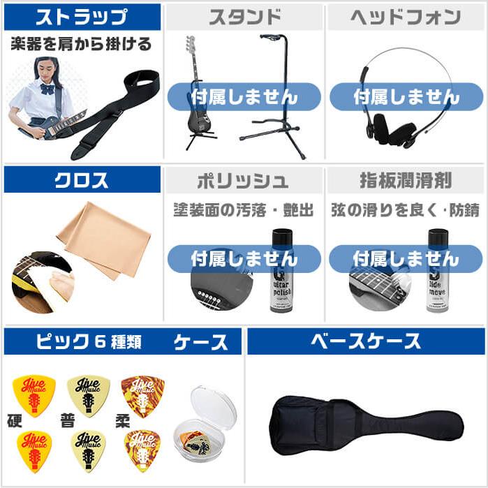 ベース 初心者セット AriaPro II IGB-STD 入門 (安心10点) アリアプロ II エレキベースの画像