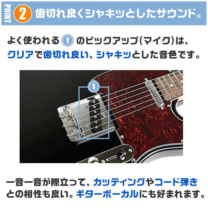 エレキギター 初心者セット Legend LTE-Z (ズーム エフェクター 18点) テレキャスタータイプ｜jivemusic｜08