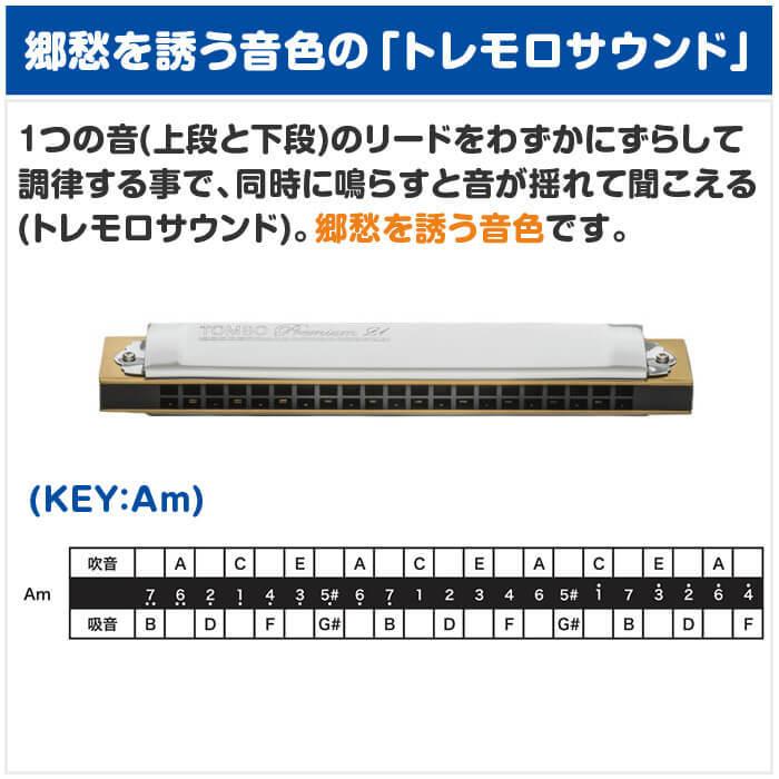 ハーモニカ トンボ No.3521 Am トンボプレミアム 21穴 (TOMBO Premium 21 複音ハーモニカ 短調 Am調 Aマイナー)｜jivemusic｜03