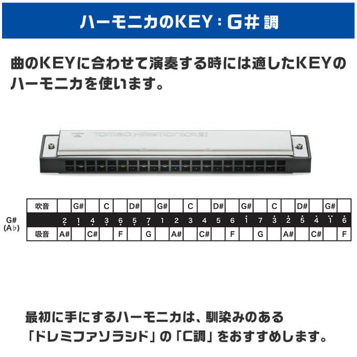 TOMBO（トンボ） ハーモニカ No.3121 G# トンボバンド 21穴 (TOMBO