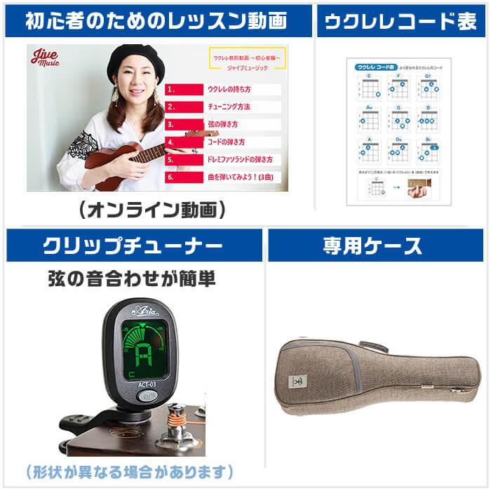 ウクレレ 初心者セット コンサートサイズ aNueNue aNN-UC10 BB アヌエヌエ ブラックビューティー 入門 セット : ジャイブ ...