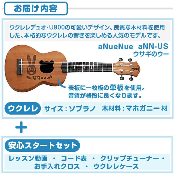 ウクレレ 初心者 セット aNueNue aNN-US マホガニー材 単板