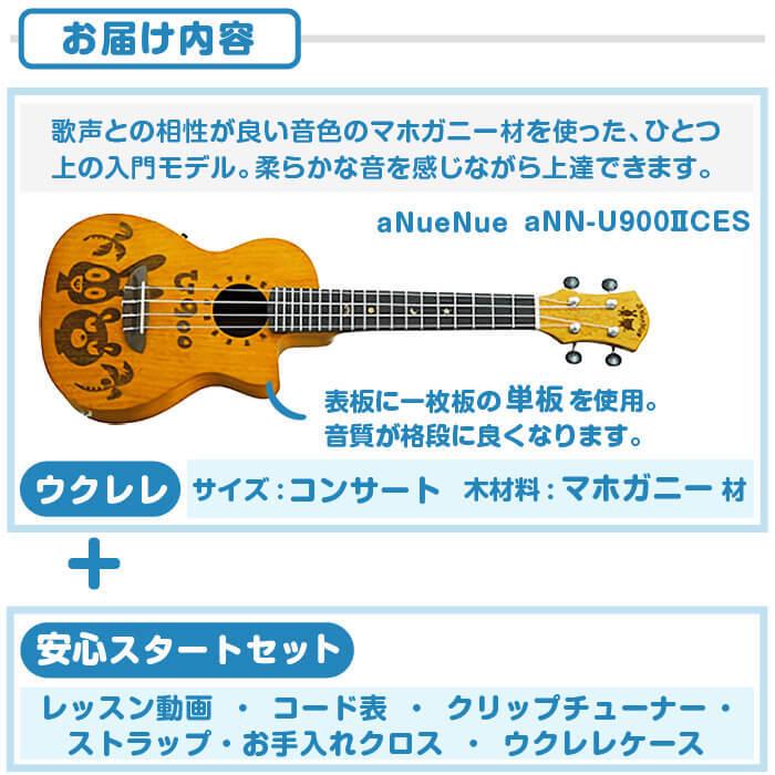 ウクレレ 初心者セット アヌエヌエ aNN-U900II CES マホガニー材 単板 