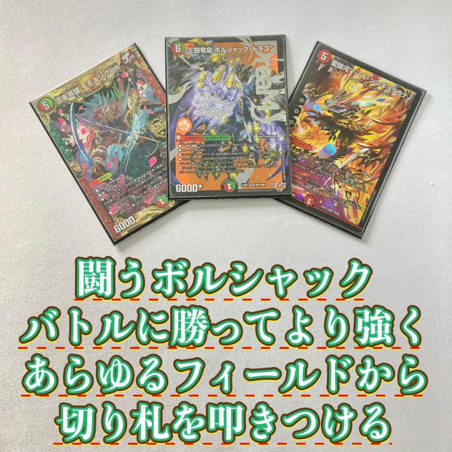 本格構築 【赤緑王闘ボルシャック】 デッキ＆二重スリーブ 《 王