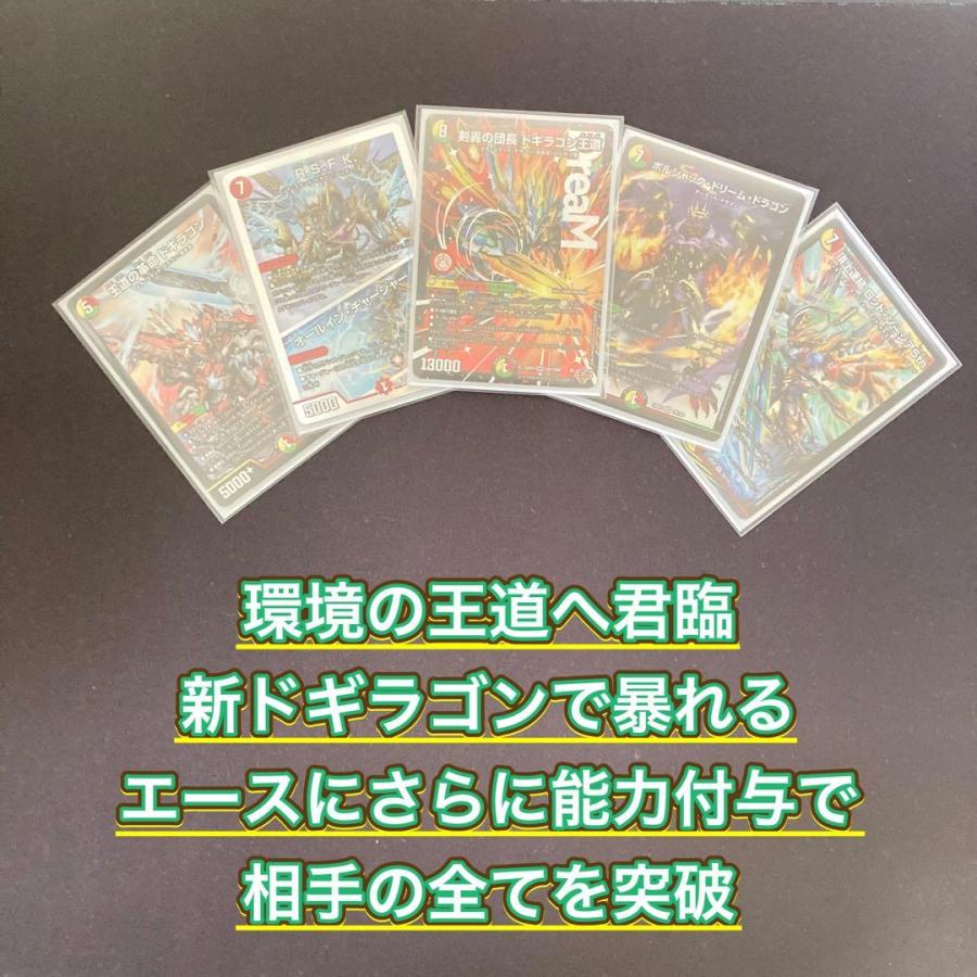 本格構築 【リースドギラゴン王道】 デッキ＆三重スリーブ 《 R.S.F.K.