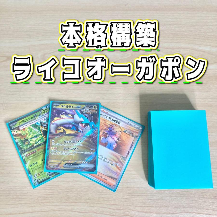 本格構築 【タケルライコオーガポン】デッキ＆二重スリーブ 本格構築 【タケルライコオーガポン】デッキ＆二重スリーブ