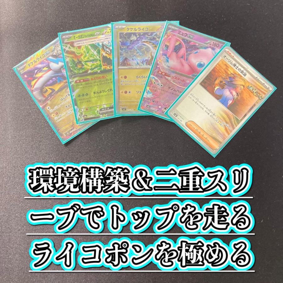 本格構築 【タケルライコオーガポン】デッキ＆二重スリーブ 本格構築 【タケルライコオーガポン】デッキ＆二重スリーブ