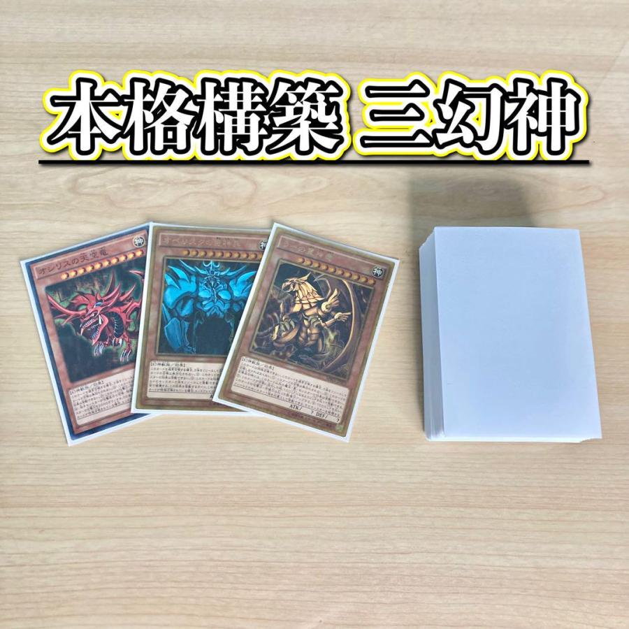 遊戯王 本格構築 【三幻神】 デッキ&EX15枚&二重スリーブ : 自 遊戯王 本格構築 【三幻神】 デッキ&EX15枚&二重スリーブ : 自