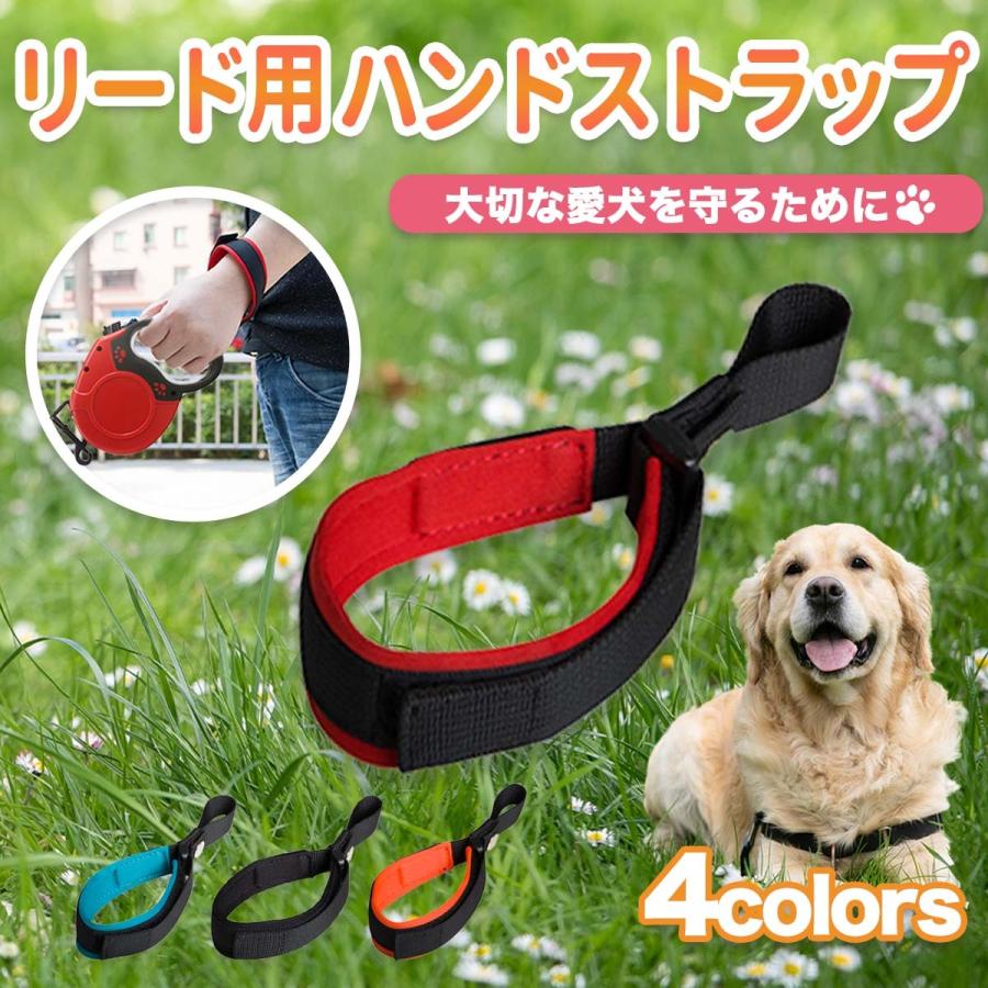 犬 リード 長い 伸縮 8m 8メートル ロング 犬用 丸ひも 丸ヒモ 丸紐 丈夫 散歩 小型犬 中型犬 大型犬 おしゃれ かわいい ペット用品 28a 自由が丘ストア本店 通販 Yahoo ショッピング