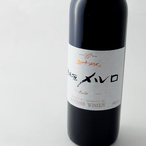 五一わいん（GOICHI WINE） 五一ワイン 赤ワイン 桔梗ヶ原メルロ 720ml