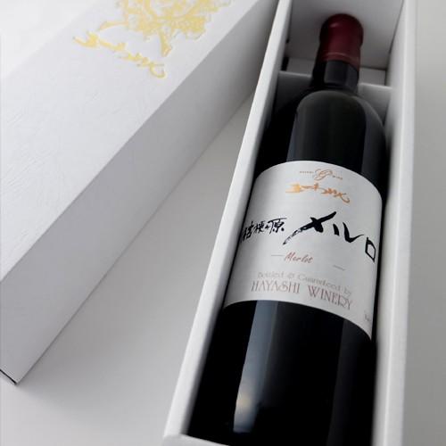 五一わいん（GOICHI WINE） 五一ワイン 赤ワイン 桔梗ヶ原メルロ 720ml