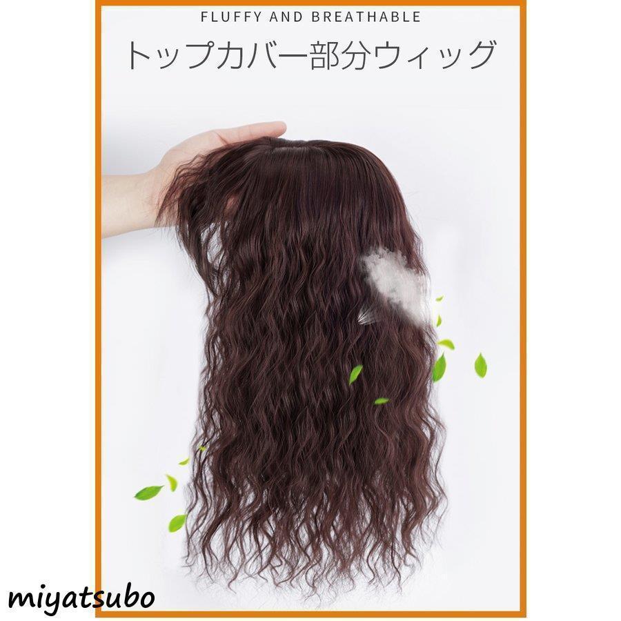 正規取扱店 部分ウィッグ ヘアトップピース 3D構造 白髪隠し ウェーブ ウイッグ 35cm 自然 薄毛 増毛部分かつら ヘアピース ウィッグ 25cm 付け毛 トップカバー 通気 つけ毛 ウィッグ、エクステンション ヘアーピース つけ毛 ウィッグ 増毛 通気 部分ウィッグ 付け毛